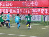 蚌埠全市中小学生体育联赛篮球比赛举行